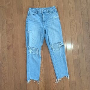 American Eagle Strigid Curvy Mom Jean Size 10